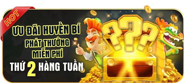 Hoàn trả hàng ngày Vingt55